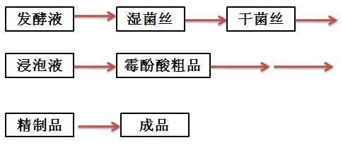 實驗步驟